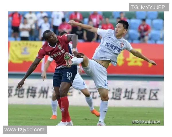 成都排球队在联合会杯积分榜上以66分稳居第一位置