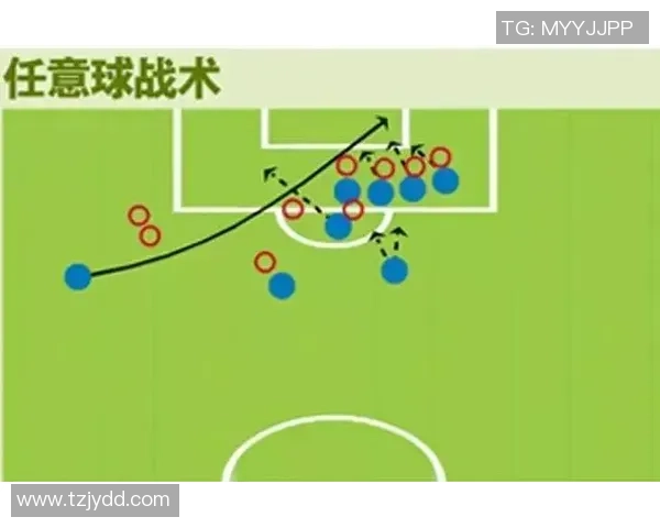 广州排球队配合表现的数据分析与战术研究探讨